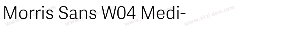 Morris Sans W04 Medi字体转换
